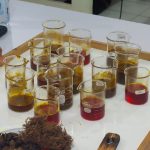 Jembatani Teori dan Industri, Pendidikan IPA ULM Pelajari Tata Kelola Industri Kelapa Sawit Bersama Praktisi PT KIU